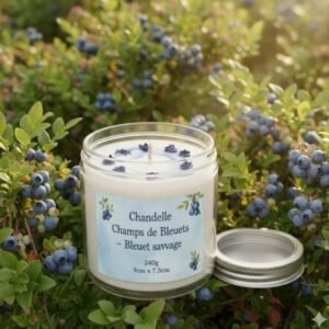 Chandelle bleuet sauvage: Un Senteur Gourmande et Envoûtante